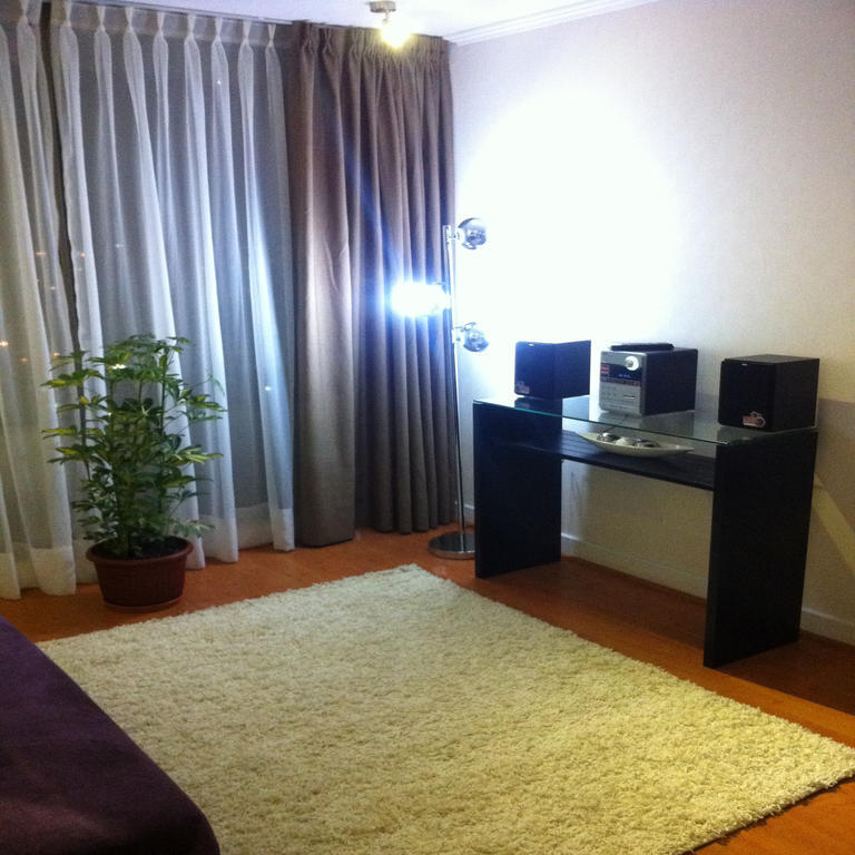 M-Montt Providencia Apartamentos Amoblados Santiago de Chile Rum bild